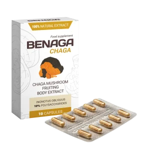 Benaga Chaga