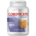 Cordyceps Pulse